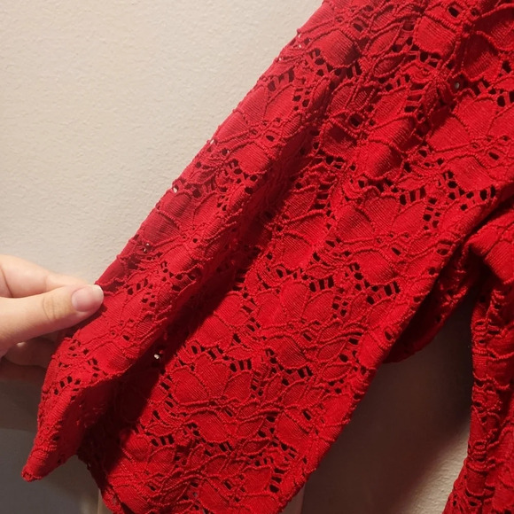 Alfani Red Eyelet Lace Overlay with Back Exposed Zipper in Size XL - Picture 7 of 9